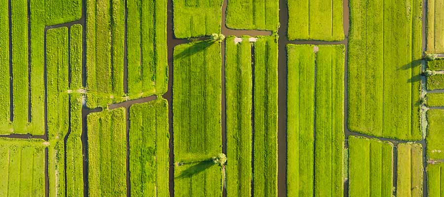 Mediazione e usucapione Accordo Possibile ICAF