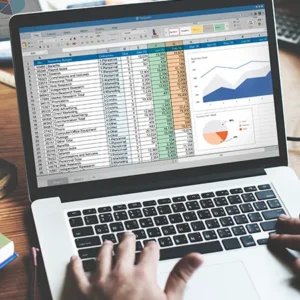 Persona al computer utilizza Excel